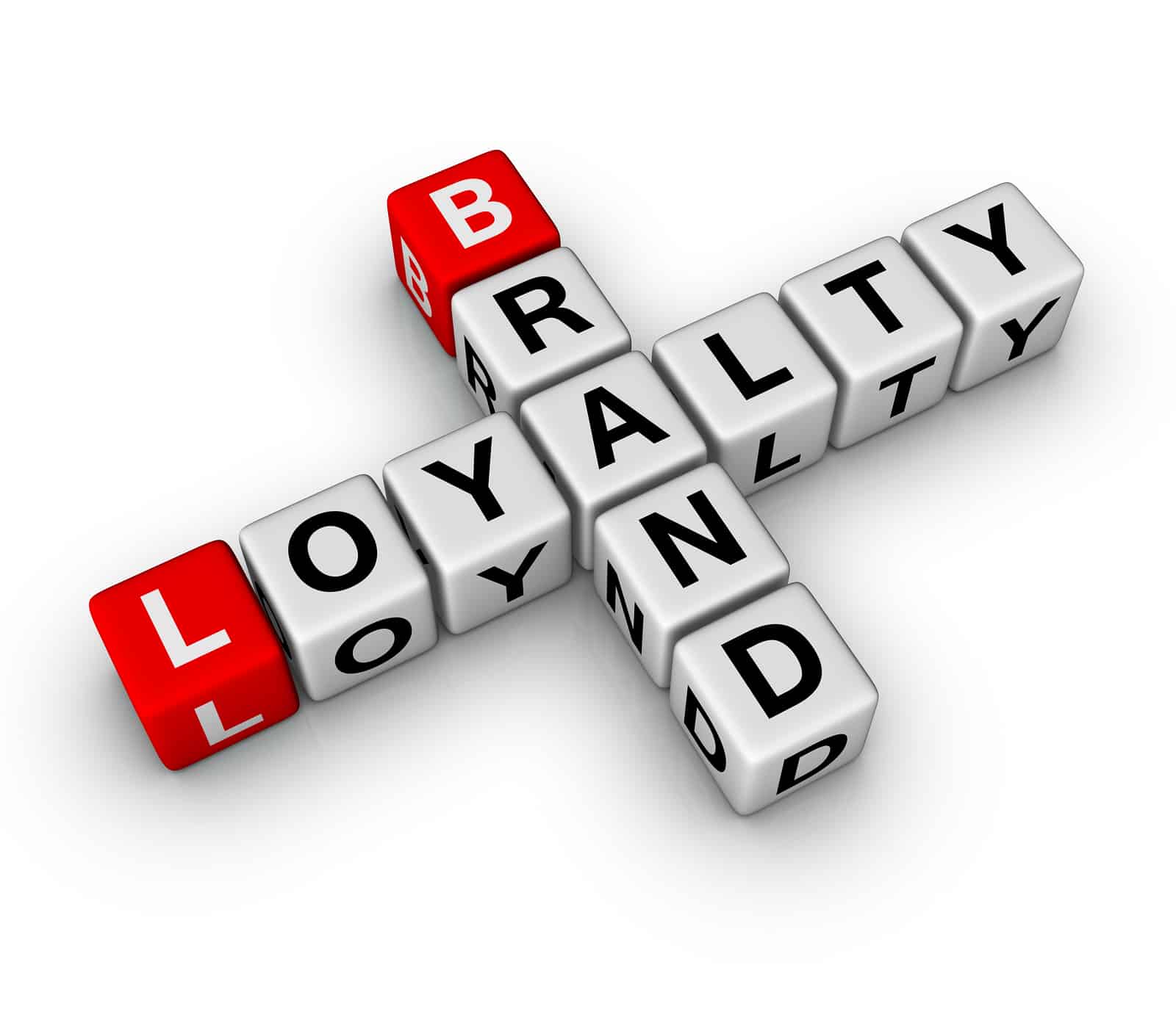 brand and customer loyalty , online reputation management